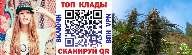 Где купить наркотики Покров СК  Cocaine  ГАШИШ  Лсд 25  Марихуана 