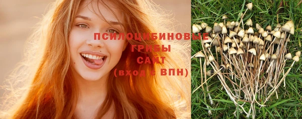 apvp Армянск