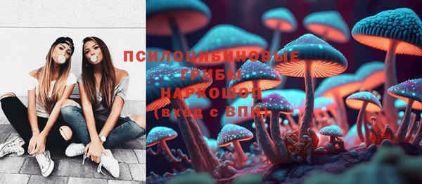 MESCALINE Аркадак