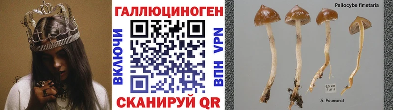 МЕГА tor  Покров  Галлюциногенные грибы Cubensis  что такое  